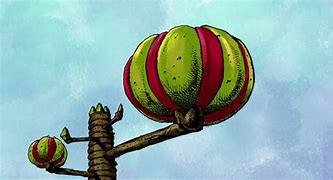 Imagen del arbol locacaca